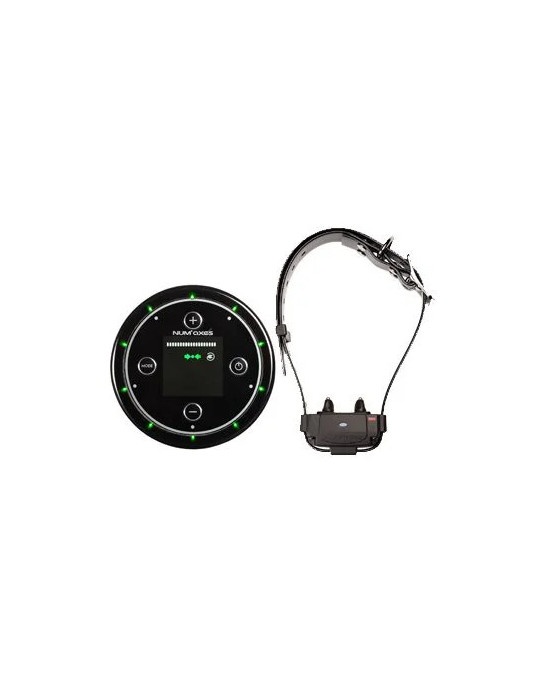 Système anti-fugue sans fil CANIFUGUE FUG10344 (borne sans fil+collier )