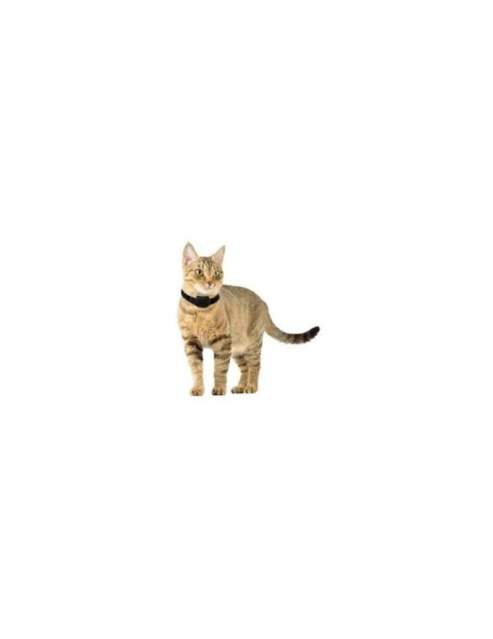 Collier anti-fugue CANIFUGUE SMALL