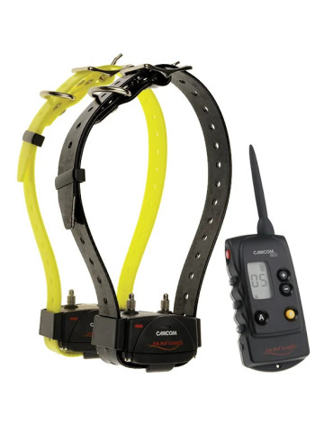 PACK de dressage CANICOM 800 POUR 2 CHIENS