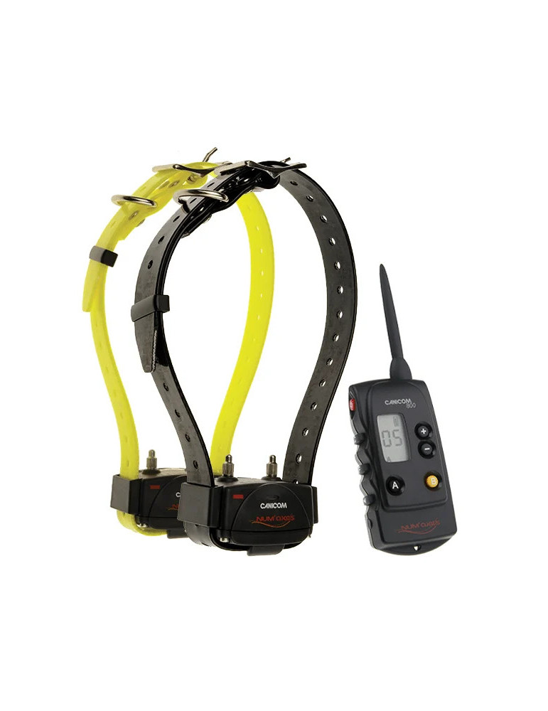PACK de dressage CANICOM 800 POUR 2 CHIENS