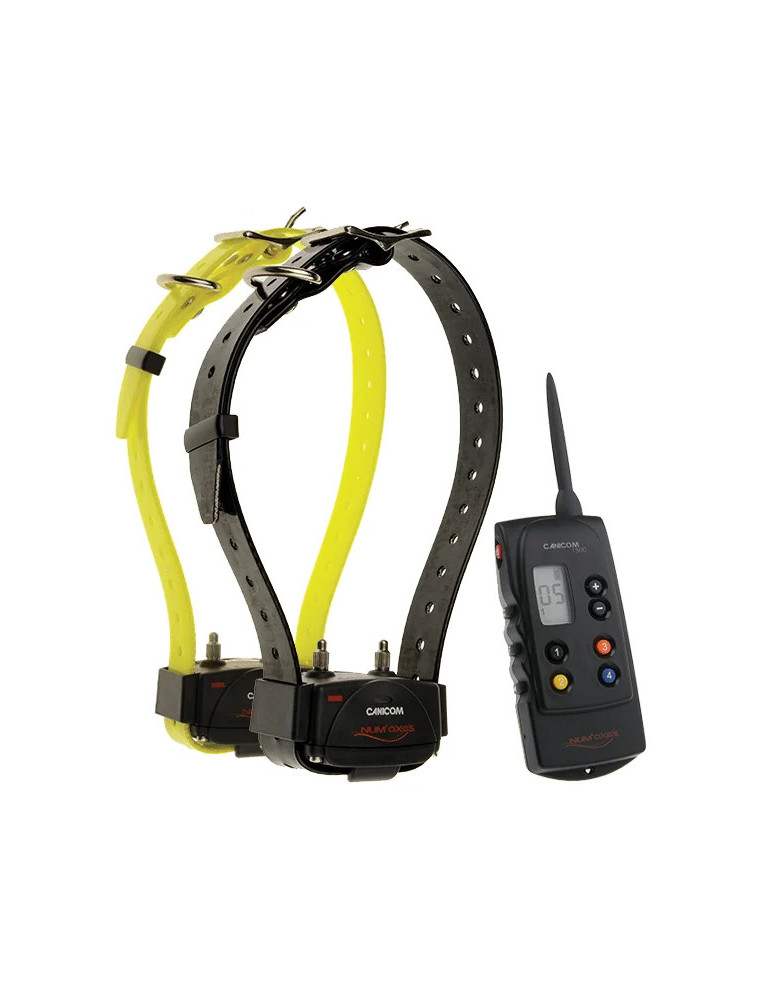 PACK de dressage CANICOM 1500 POUR 2 CHIENS