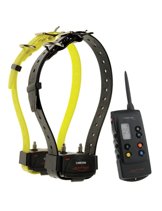 PACK de dressage CANICOM 1500 POUR 2 CHIENS