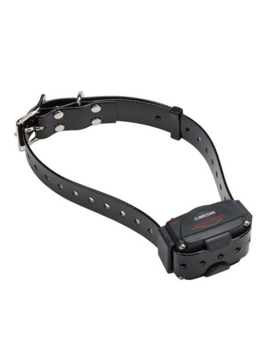 PACK de dressage CANICOM 1500 POUR 2 CHIENS