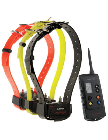 PACK de dressage CANICOM 1500 POUR 3 CHIENS