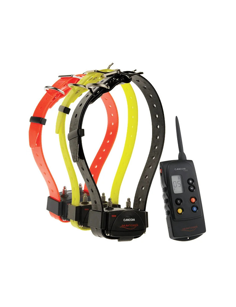 PACK de dressage CANICOM 1500 POUR 3 CHIENS