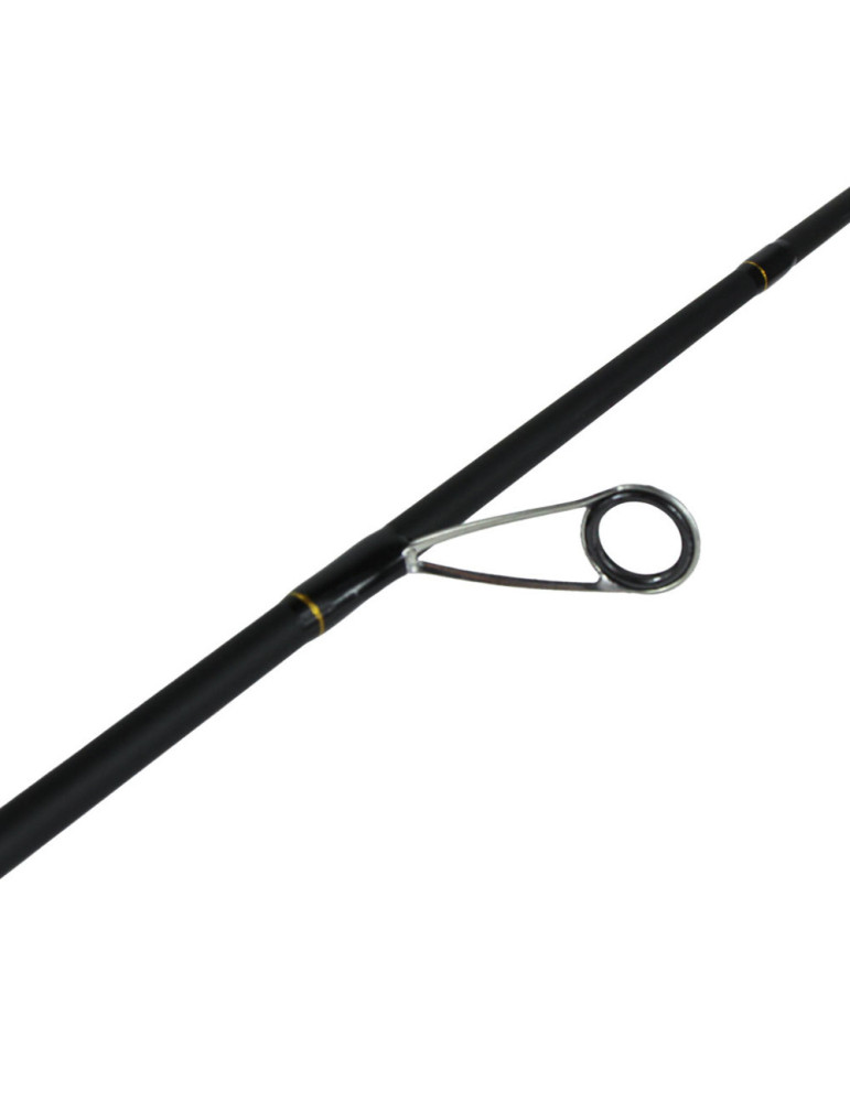 Combo Scratch Tackle Saphir 2,02 m 7-25 g | Carnassier -NATUSPORT