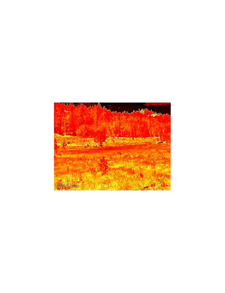Monoculaire Thermique Burris H35 GEN3