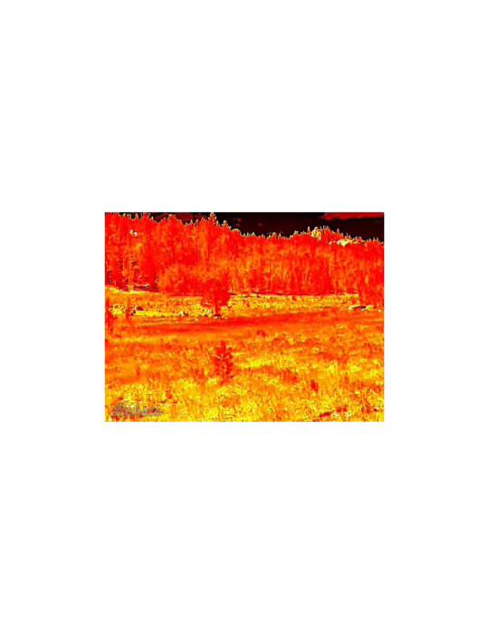 Monoculaire Thermique Burris H35 GEN3
