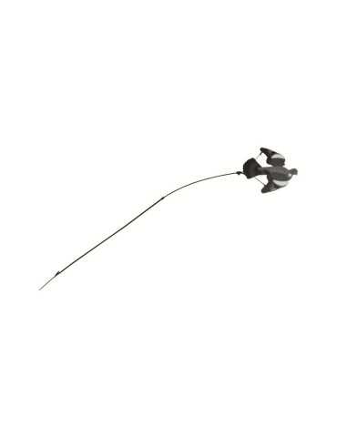 Floater GMT pour Appelant Pigeon – natusport 2