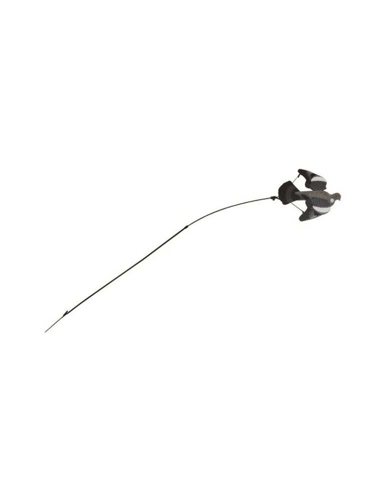 Floater GMT pour Appelant Pigeon – natusport