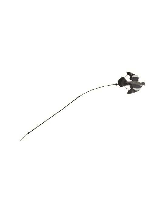 Floater GMT pour Appelant Pigeon – natusport