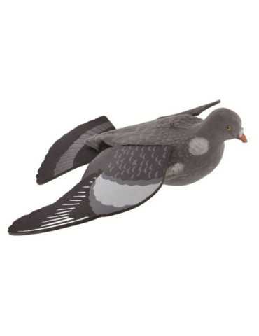 Appelant Pigeon GMT Mirage en Vol – natusport 2