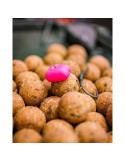 Amorce Pop-Up Fox Pink Corn Large – natusport