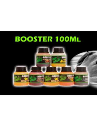 Booster Fun Fishing Carp Starget Hot Spice 100 ml – natusport