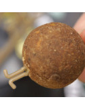 Montage Korda Bait Stops – natusport