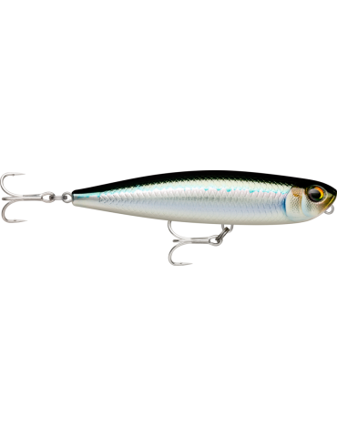 Leurre Dur Rapala Xtreme Pencil Exo 107 Tarpon – natusport