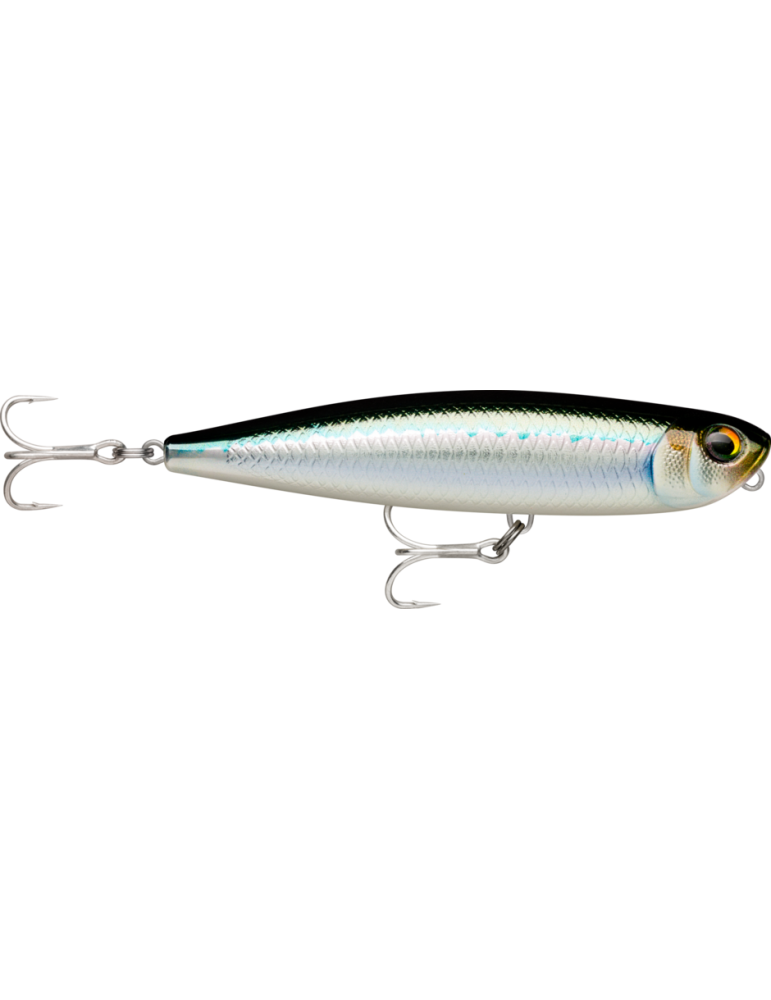 Leurre Dur Rapala Xtreme Pencil Exo 107 Tarpon – natusport