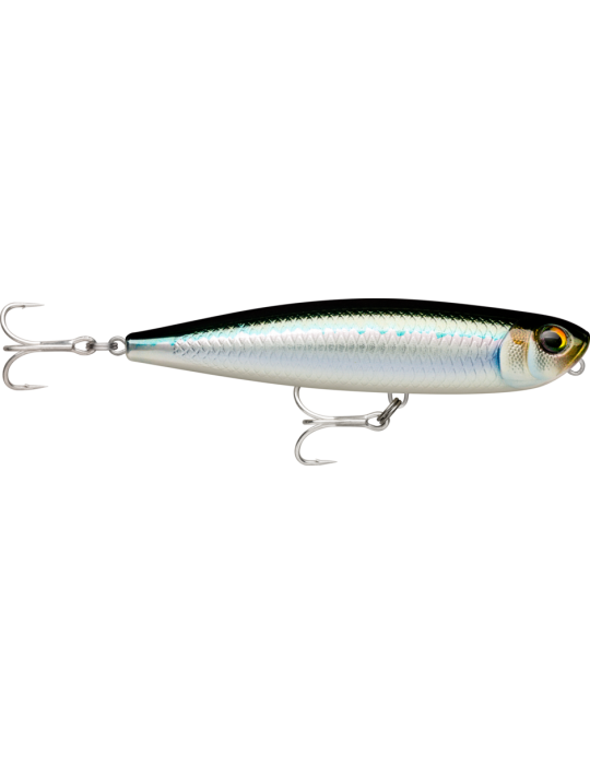 Leurre Dur Rapala Xtreme Pencil Exo 107 Tarpon – natusport