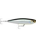 Leurre Dur Rapala Xtreme Pencil Exo 107 Tarpon – natusport