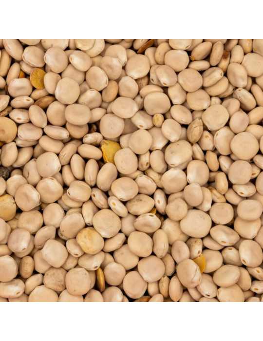Amorce Lupin Poseidon Particles 5L – natusport