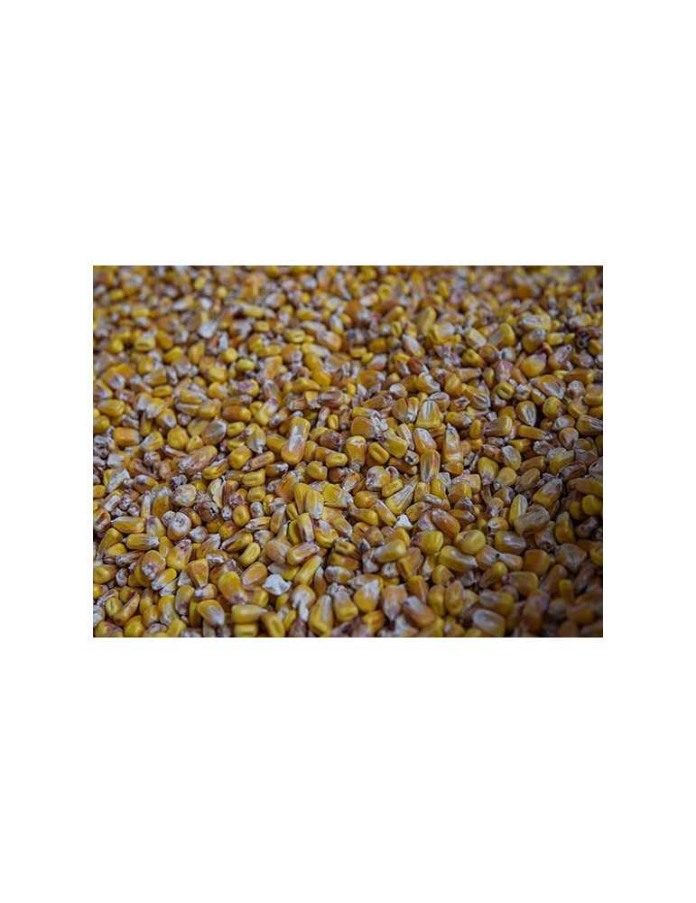 Amorce Maïs Brut Vrac Poseidon Particles 1kg – natusport