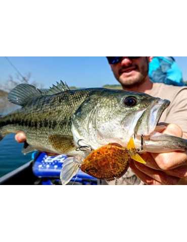 Leurre Souple Yuki Esparrall 100 Perch – natusport 2