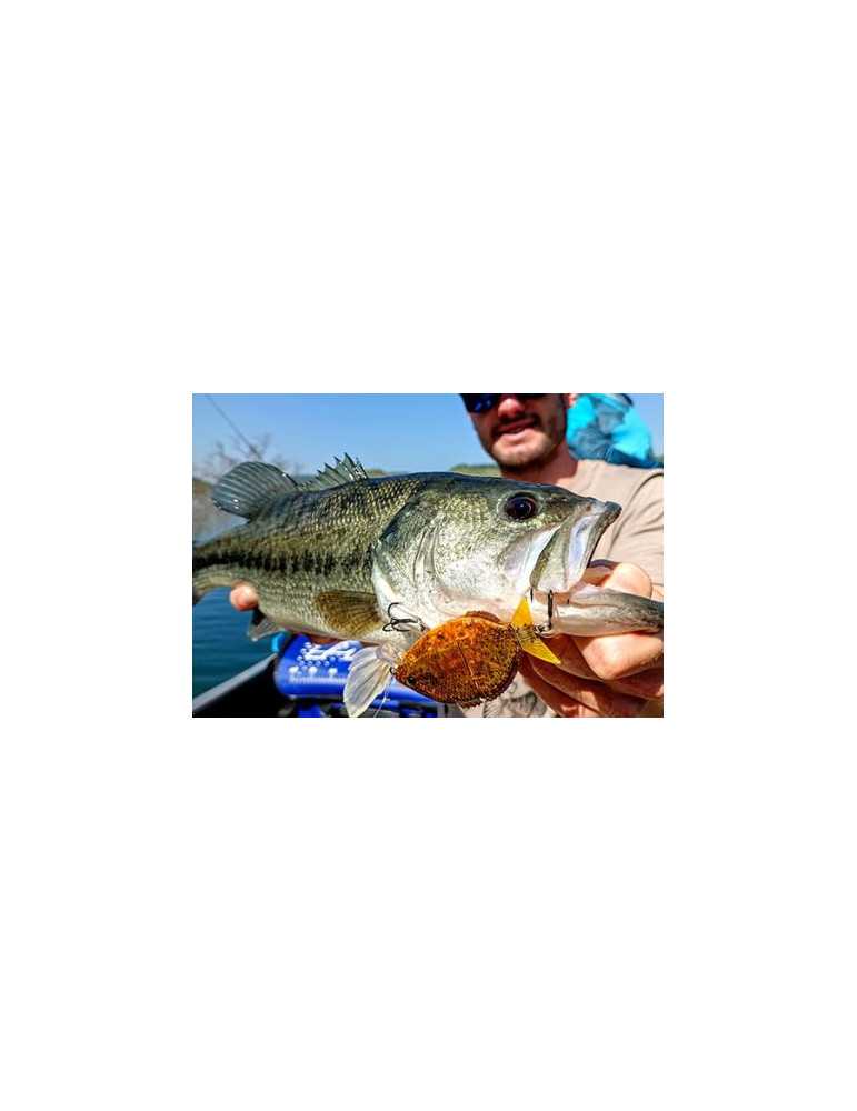 Leurre Souple Yuki Esparrall 100 Perch – natusport