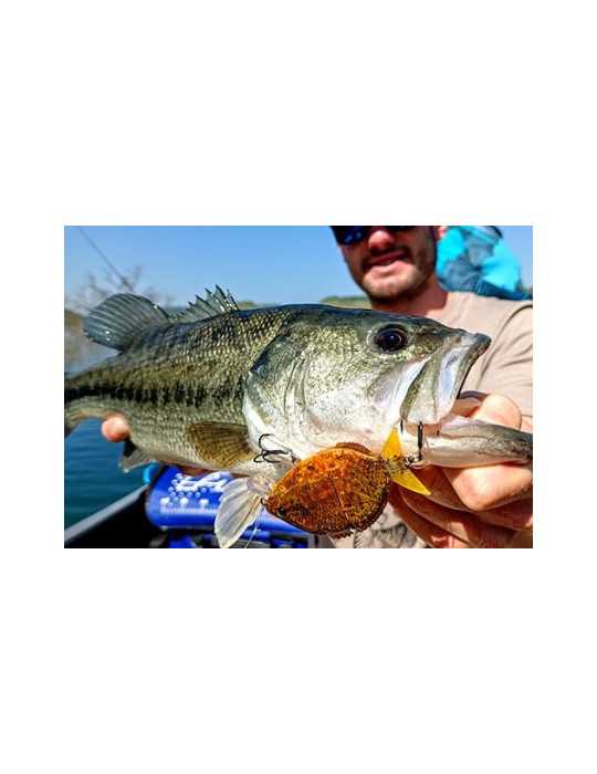 Leurre Souple Yuki Esparrall 100 Perch – natusport