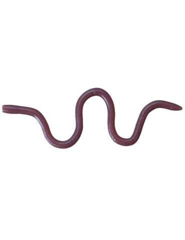 Leurre Souple O.S.P Mimizu Small W050 – natusport 2