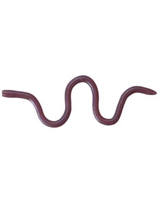 Leurre Souple O.S.P Mimizu Small W050 – natusport