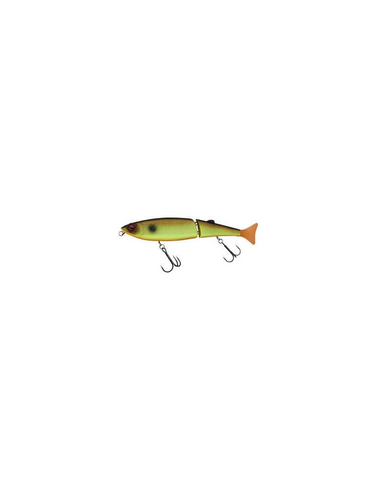 Leurre Dur Sensas Freddy 170 CW Noisy Muddy Roach – natusport