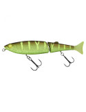 Leurre Dur Sensas Freddy 170 CW Noisy Guripan Tiger – natusport