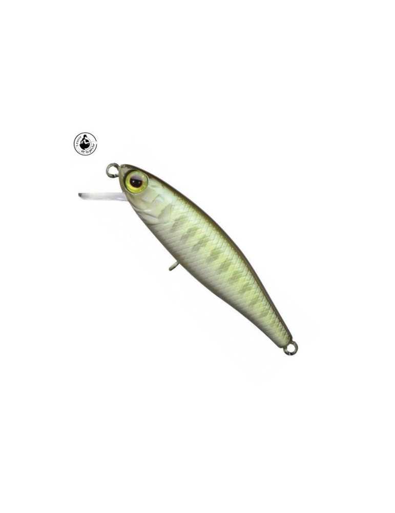 Leurre Dur Illex Tiny Fry 50 SP Vairon – natusport