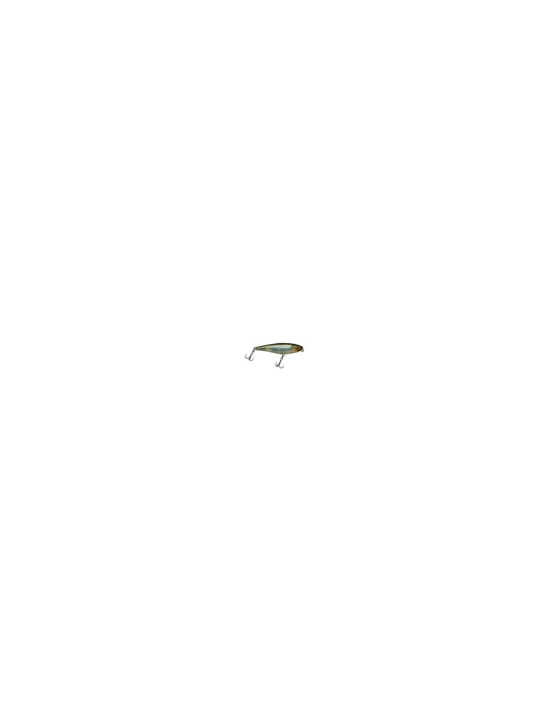 Leurre Dur Illex Water Moccasin 75 HS Ghost Minnow – natusport