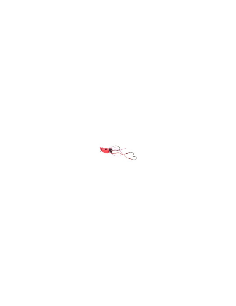 Tête Plombée Rapala Ragtenya 30g Rose – natusport