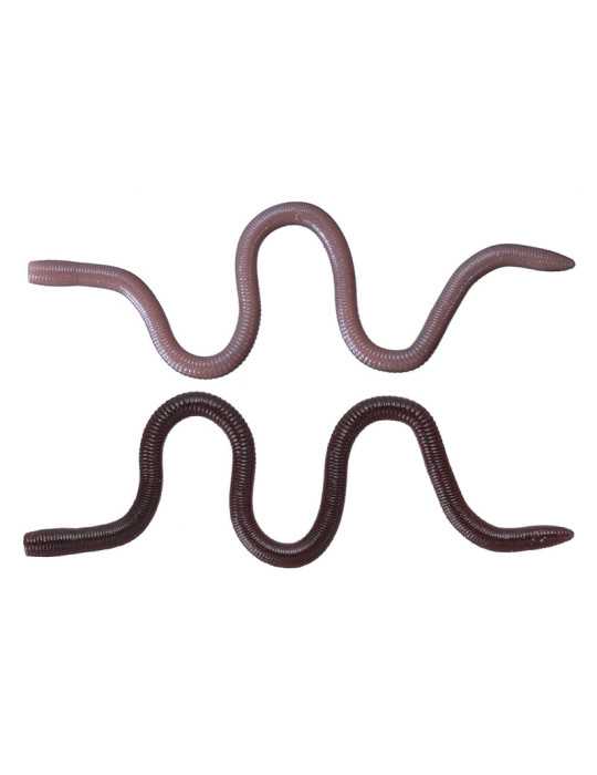 Leurre Souple O.S.P Mimizu Small Isomen TW203 – natusport