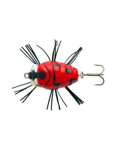 Jig Sakura Notobug 22F Coloris 06