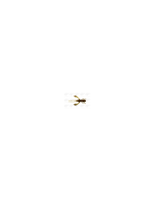 Leurre Souple Fishup Real Craw 1.5" 045 – natusport