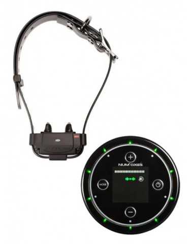 Anti-fugue sans fil Canifugue FUG1034 borne + collier - Natusport