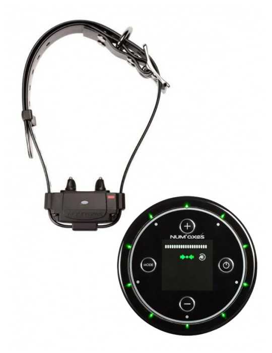 Anti-fugue sans fil Canifugue FUG1034 borne + collier - Natusport