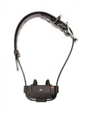 Collier supplémentaire anti-fugue FUG1034 sans fil - Natusport