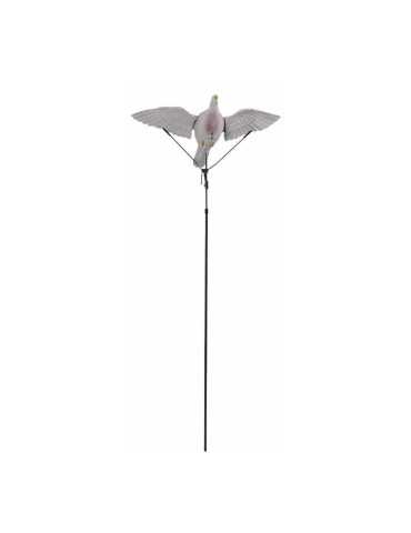Floater GMT pour Appelant Pigeon – natusport