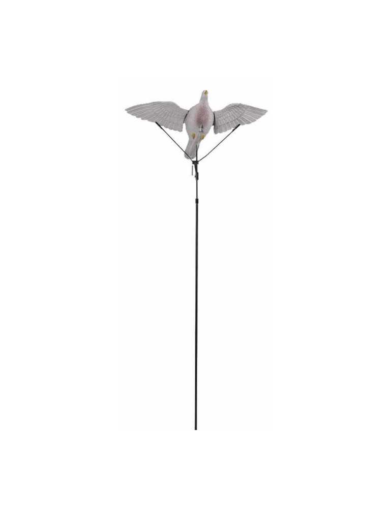 Floater GMT pour Appelant Pigeon – natusport