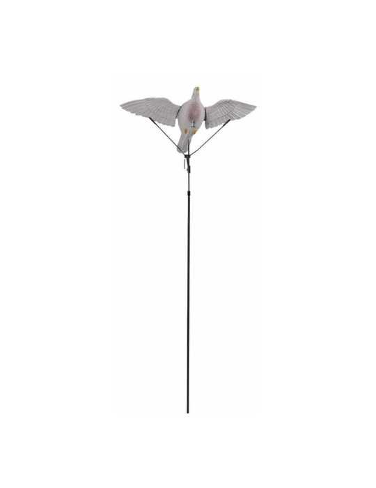 Floater GMT pour Appelant Pigeon – natusport