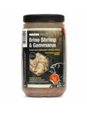Amorce Nash Brine Shrimp & Gammarus 500ml – natusport
