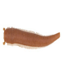 Leurre Souple Berkley Gulp! Saltwater Fat Sandworm 4" Natural | Natusp – natusport