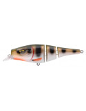 Tresse Spro Pikefighter 110SL UV Perch – natusport