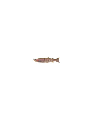 Leurre Dur Biwaa S'Trout 150S Rainbow – natusport 2