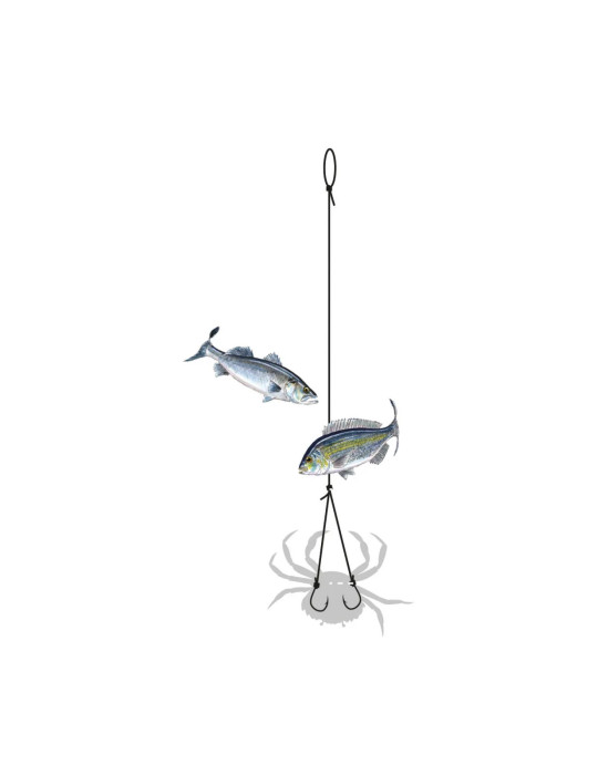 Montage Flashmer Bas de Ligne Crabe 2 Hameçons N°2 – natusport