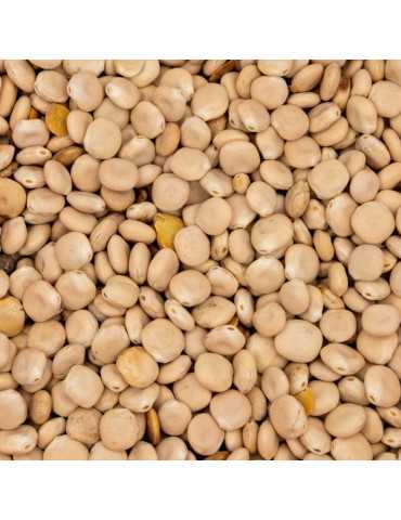 Amorce Lupin Poseidon Particles 5L